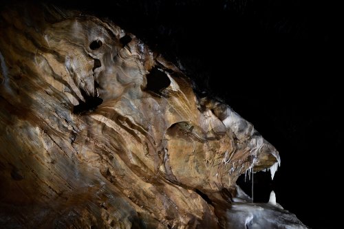 Grotte de Roquebleue (Hérault) - "La tête du tigre"(SP-19-0043)