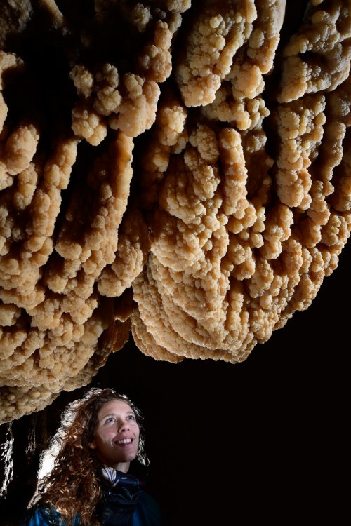 Grotte de Vallorbe (Suisse) - Concrétions formées dans une partie qui était auparavant noyée (partie aménagée) (SP-19-0083)