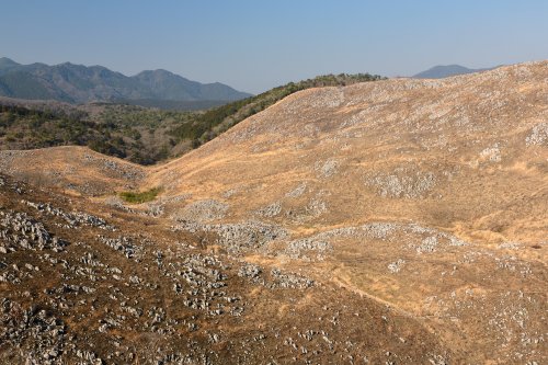 Plateau karstique d'Akiyoshidai (pref. Yamaguchi, Japon)(VO-19-0672)