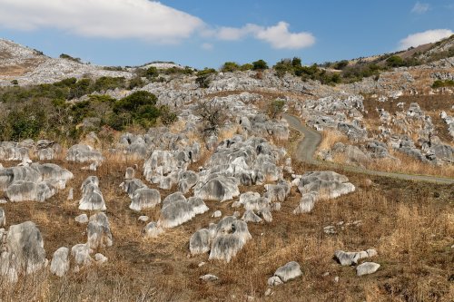 Plateau karstique de Hiraodai (pref. Fukuoka, Japon)(VO-19-0612.)