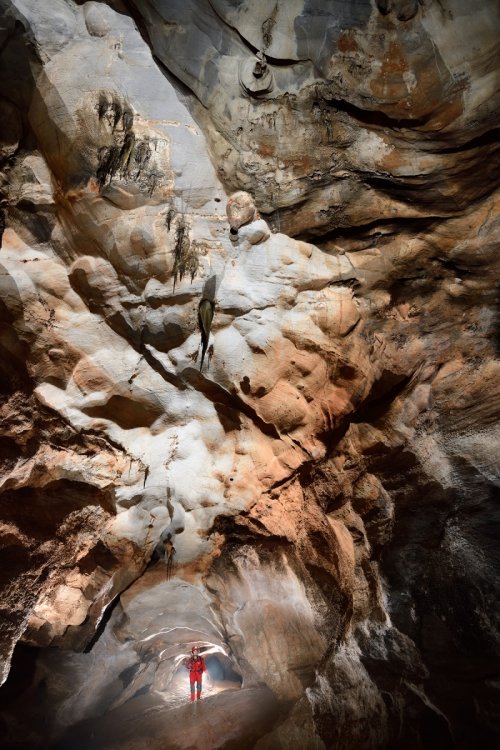 Gruta Dente de Cao (Mato Grosso do Sul, Brésil) - Galerie avec plafond coloré(SP-19-1135)