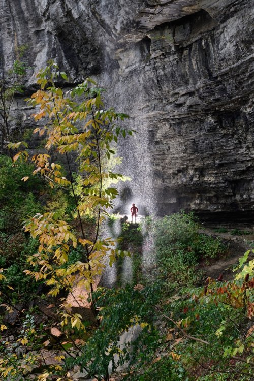Thatcher Park (état de New York, USA) - Cascade le long de Indian Ladder Trail(VO-19-1921)