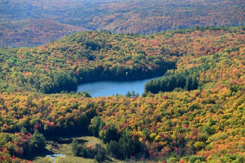 Parc des Adirondacks (état de New York, USA) -  Lac et forêts vus depuis le sommet de Moxham Mountain(VO-19-186)