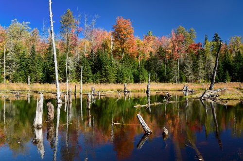 Parc des Adirondacks (état de New York, USA) -  lac près  du sentier de Moxham Mountain(VO-19-1835)