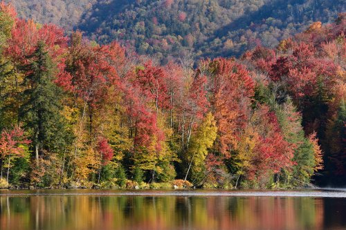 Kent Pond (Vermont, USA) - Arbres aux feuillages d'automne  au bord du lac(VO-19-2056)