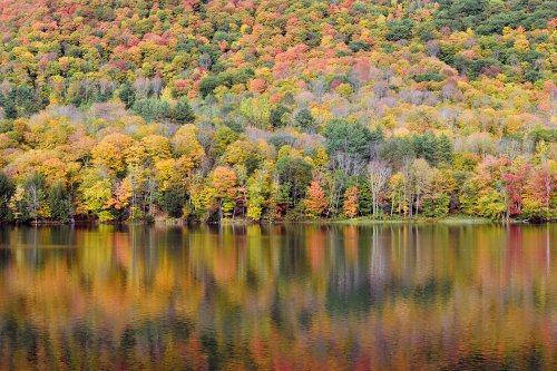 Echo Lake (Vermont, USA) - Arbres aux feuillages d'automne se reflétant dans le lac (sans ciel)(VO-19-2026)