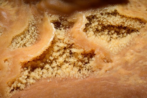 Grotte de Dargilan (réseau de l'Eglise) - Cristaux de calcite dans un  gour(SP-19-2010)
