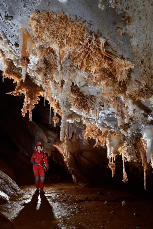 Grotte du Choufleur (Hérault) - Galerie avec stalactites et bouquets d'aragonite (SP-19-2135)