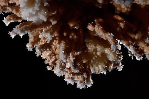 Grotte du Choufleur (Hérault) - Petits bouquets d'aragonite sur une paroi(SP-19-2143)