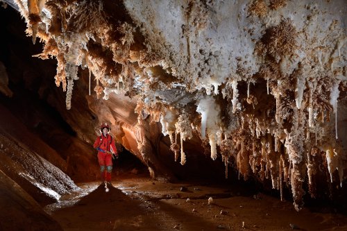 Grotte du Choufleur (Hérault) - Galerie avec stalactites et bouquets d'aragonite (SP-19-2129)