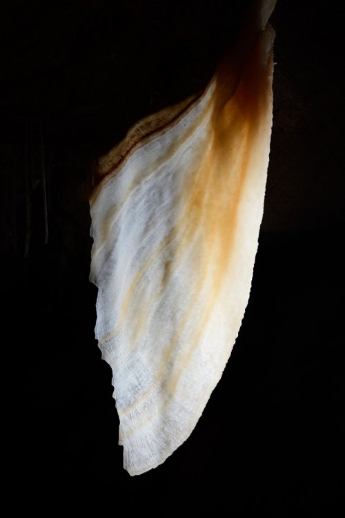 Grotte de Roquebleue (Hérault) - Draperie translucide(SP-20-0057)