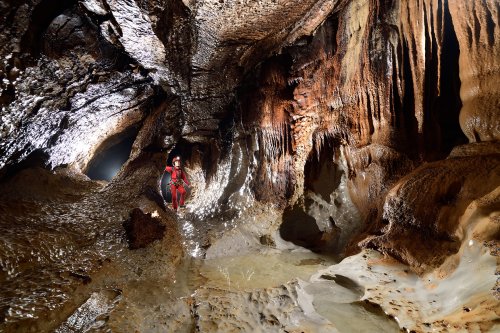Event de Peyrejal (Ardèche) - Spéléo dans galerie avec pilier central et concrétions sur la paroi(SP-20-0127)