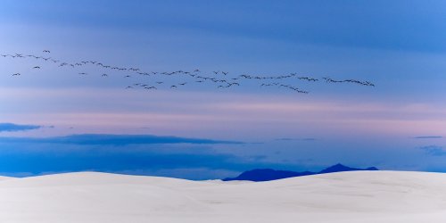White Sands National Park (Nouveau Mexique, USA) - Dunes au coucher du soleil survolées par des oiseaux migrateur(VO-20-0327)