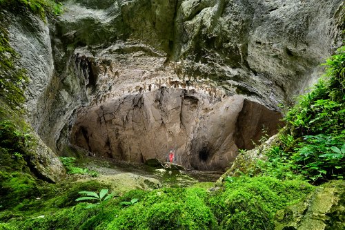Beaume Archée (Doubs) - Porche d'entrée avec salle éclairée et spéléo en fond (végétation en premier plan)(SP-20-0312)