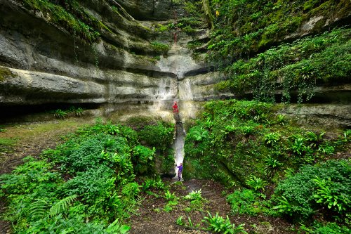 Grande Doline du sentier karstique de Merey-sous-Montrond (Doubs) - Spéléo remontant la doline au jumar (végétation luxuriante à la base) (SP-20-0471)