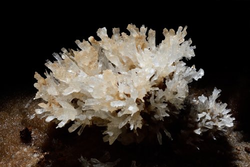 Grotte d'Orquette (Hérault) - Bouquet de cristaux de calcite(SP-20-1107)
