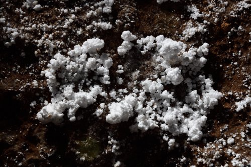Grotte d'Orquette (Hérault) - Petites boules de moonmilch sur une paroi argileuse(SP-20-1098)