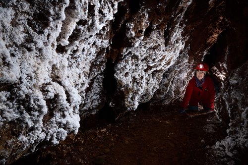 Grotte d'Orquette (Hérault) - galerie aux parois couvertes de moonmilch(SP-20-1096)