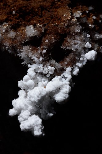 Grotte d'Orquette (Hérault) - dépôt de moonmilch sur une paroi(SP-20-1103)