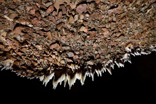 Grotte d'Orquette (Hérault) - Reste d'un remplissage de galets déposés par la rivière vu par dessous, avec des stalactites se développant sur sa bordure. Ces galets sont soudés par la calcite(SP-20-1132)
