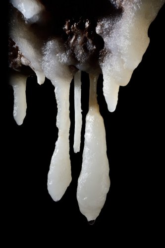 Grotte d'Orquette (Hérault) - Stalactites de calcite très pure(SP-20-1129)