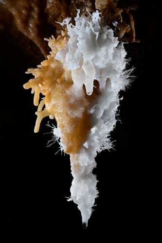 Gouffre des Vents d'Anges - Stalactite bicolore avec excentriques et petites aiguilles d'aragonite(SP-20-1476)