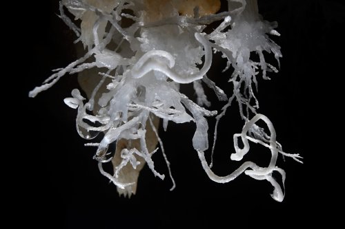 Gouffre des Vents d'Anges - Excentriques d'aragonite(SP-20-1473)