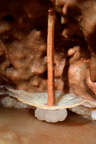 Aven d'Orgnac-Issirac (Ardèche) - "Le tutu" (Réseau II) : coupole de calcite blanche avec cristaux à la base (SP-21-0065)