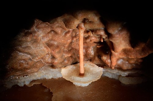 Aven d'Orgnac-Issirac (Ardèche) - "Le tutu" (Réseau II) : coupole de calcite blanche avec cristaux à la base dans une petite alcôve(SP-21-0063)