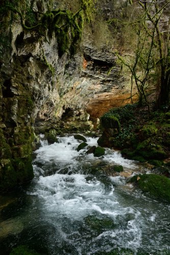 Résurgence du Trou Madame (Lot) - Rivière à la sortie de la source(HY-21-0033)