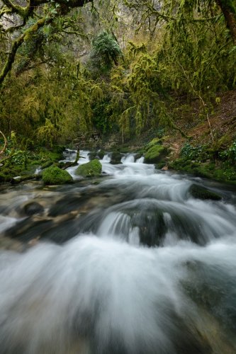 Résurgence du Trou Madame (Lot) - Rivière à la sortie de la source(HY-21-0022)