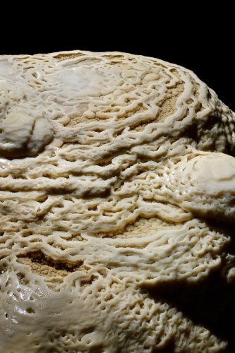 Grotte de Trabuc (Gard) - Salle du Le Lac de Minuit : détails de micro gours (partie aménagée)(SP-21-0591)