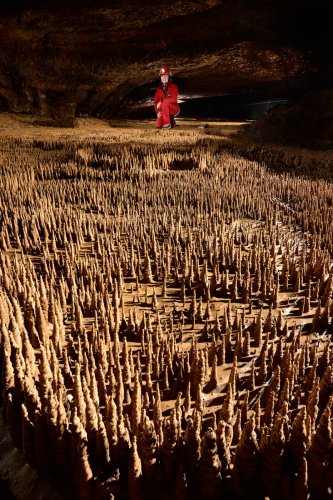 Grotte de Trabuc (Gard) - Les 100 000 soldats (alignement) (SP-21-0507)