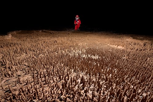 Grotte de Trabuc (Gard) - Les 100 000 soldats (vue d'ensemble avec spéléo en arrière plan)(SP-21-0485)