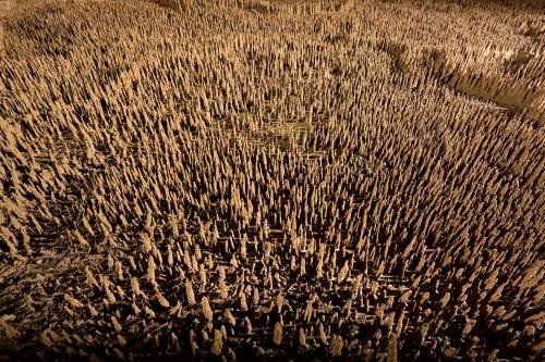 Grotte de Trabuc (Gard) - Les 100 000 soldats (vue de haut)(SP-21-0478)