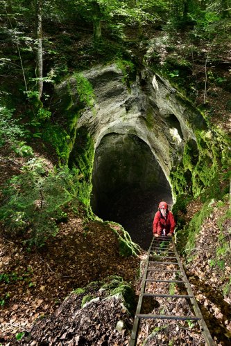 Baume du mont (Doubs) - Descente du puits d'entrée au milieu des arbres (vue du haut)(SP-21-1276)