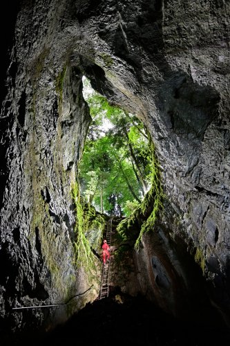Baume du mont (Doubs) - Descente du puits d'entrée équipé d'une échelle fixe (vue du bas)(SP-21-1272)