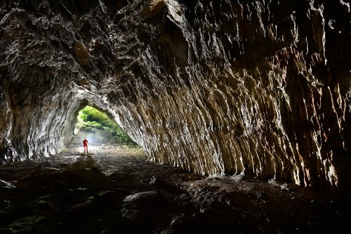 Baume aux Sarrons (Doubs) - Galerie d'entrée avec lumière du jour dans le fond(SP-21-1168)