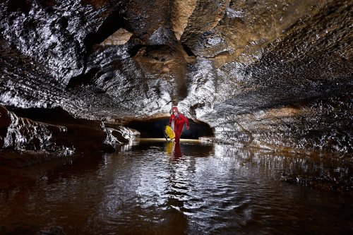 Grotte de Sainte-Anne (Belgique) - Progression dans une galerie basse avec la rivière(SP-21-1783)