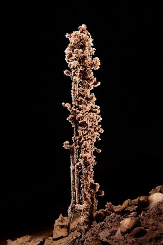 Grotte de Clamouse (Hérault) - Stalactite plantée dans le sol avec cristaux de calcite marron (SP-21-1673)