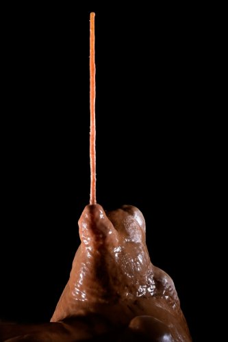 Grotte de Clamouse (Hérault) - Stalactite cassée plantée sur une stalagmite(SP-21-1672)