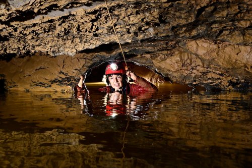 Warm river cave (Virginia, USA) - Passage d'une voûte mouillante dans la rivière(SP-21-2340)