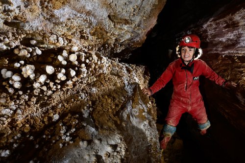 Butler cave (Virginie, USA) - Spéléo en opposition dans une galerie avec des "boules" de gypse minéraux sur la paroi(SP-21-2008)