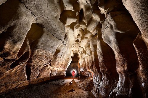 Rapps Cave (Virginie occidentale, USA) - Spéléo dans galerie avec un plafond  évoquant une colonne vertébrale(SP-21-2150)