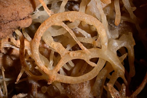 Aven d'Orgnac-Issirac (Ardèche) - "Le volant", concrétion de cristaux de calcite formant un cercle parfait  (SP-22-0065)