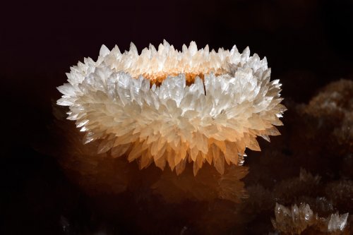 Grotte de Trabuc (Gard) - Couronne de la mariée n°1 (couronne d'environ 2cm de diamètre dans un gour de la partie non aménagée)(SP-22-0201)