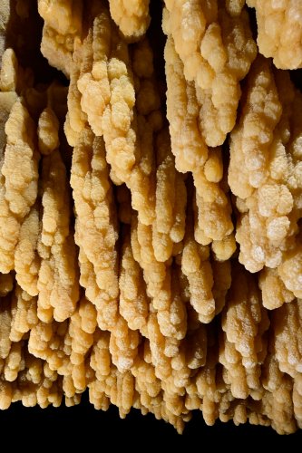 Grotte de Vallorbe (Suisse) - Baguettes de gours (partie aménagée)(SP-22-0367)