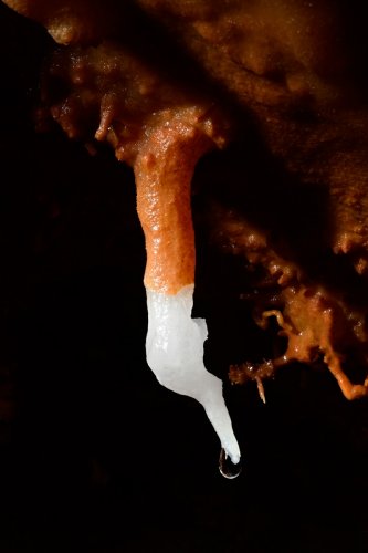 Gouffre de Cabrespine (réseau du "Vieux concrétionné") - Petite stalactite excentrique bicolore (orange et blanche)(SP-22-0950)