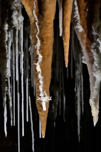 Grotte du Macoumé (Hérault) - Petite coulure  d'aragonite blanche sur une stalactite massive orange (SP-22-1005)