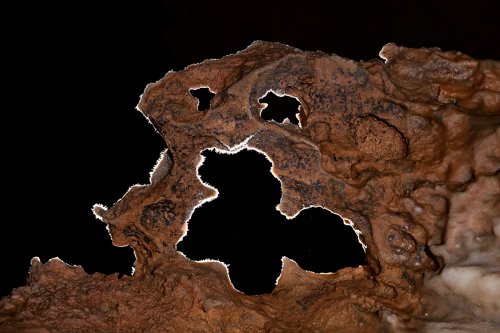 Grotte de Clamouse (Hérault) - "Le monstre"(SP-22-1067)